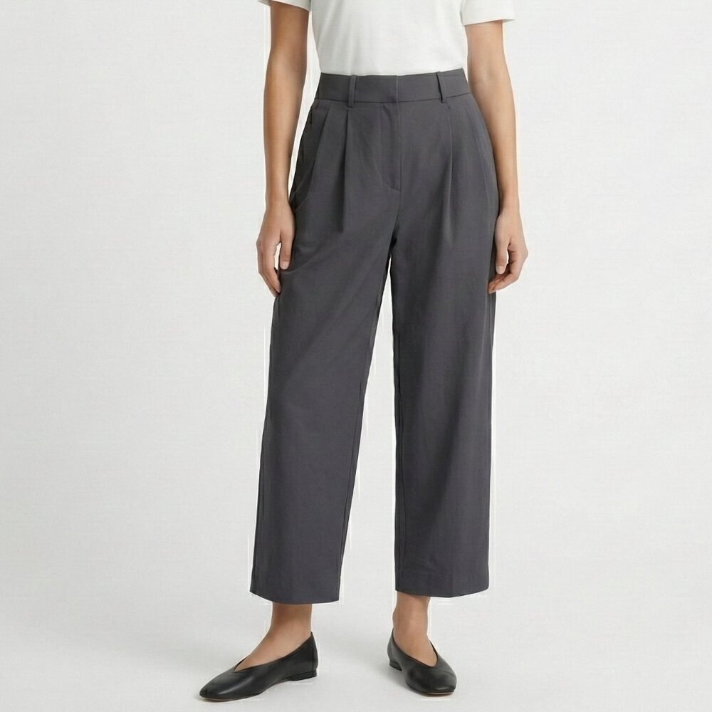 Kit And Ace Navigator Ride Pleated Pants Cropped Oversized Gray